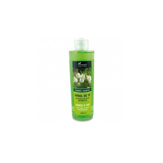 Plantapol Champu Arbol Del Te 250 ml
