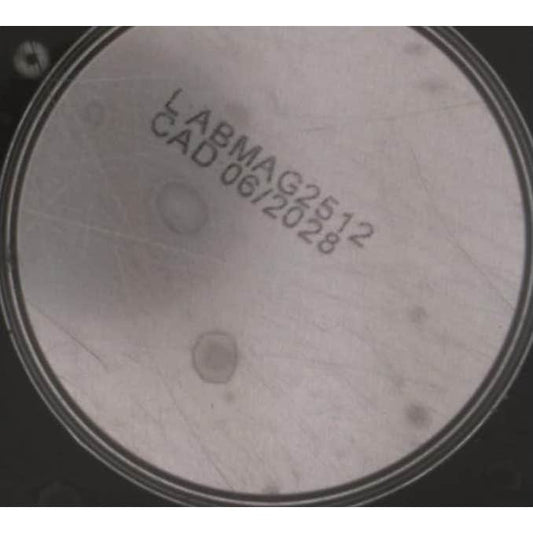 Aldous Bisglicinato de Magnesio 200 cápsulas