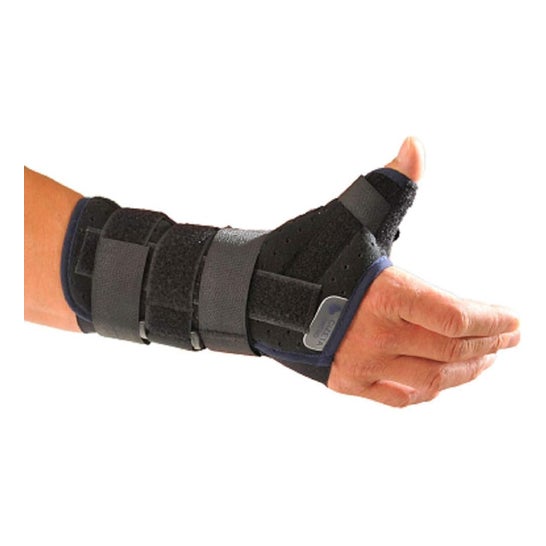 Cizeta Medical Attel Poig Perfo Ambi T1