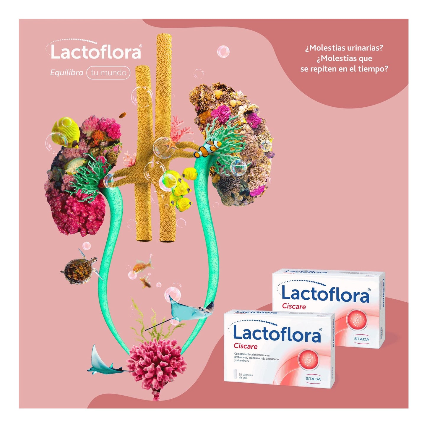 Lactoflora Ciscare 30caps