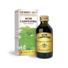 Dr. giorgini gemmo 10+ Arce Campestris 500 ml