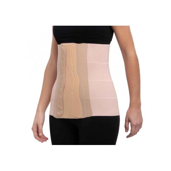 Prim Faja 4 Bandas Primspine Talla M 1ud