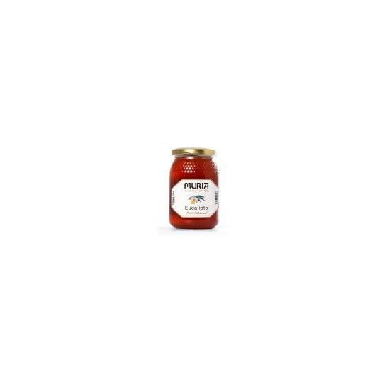 Muria Miel Eucalipto 1Kg