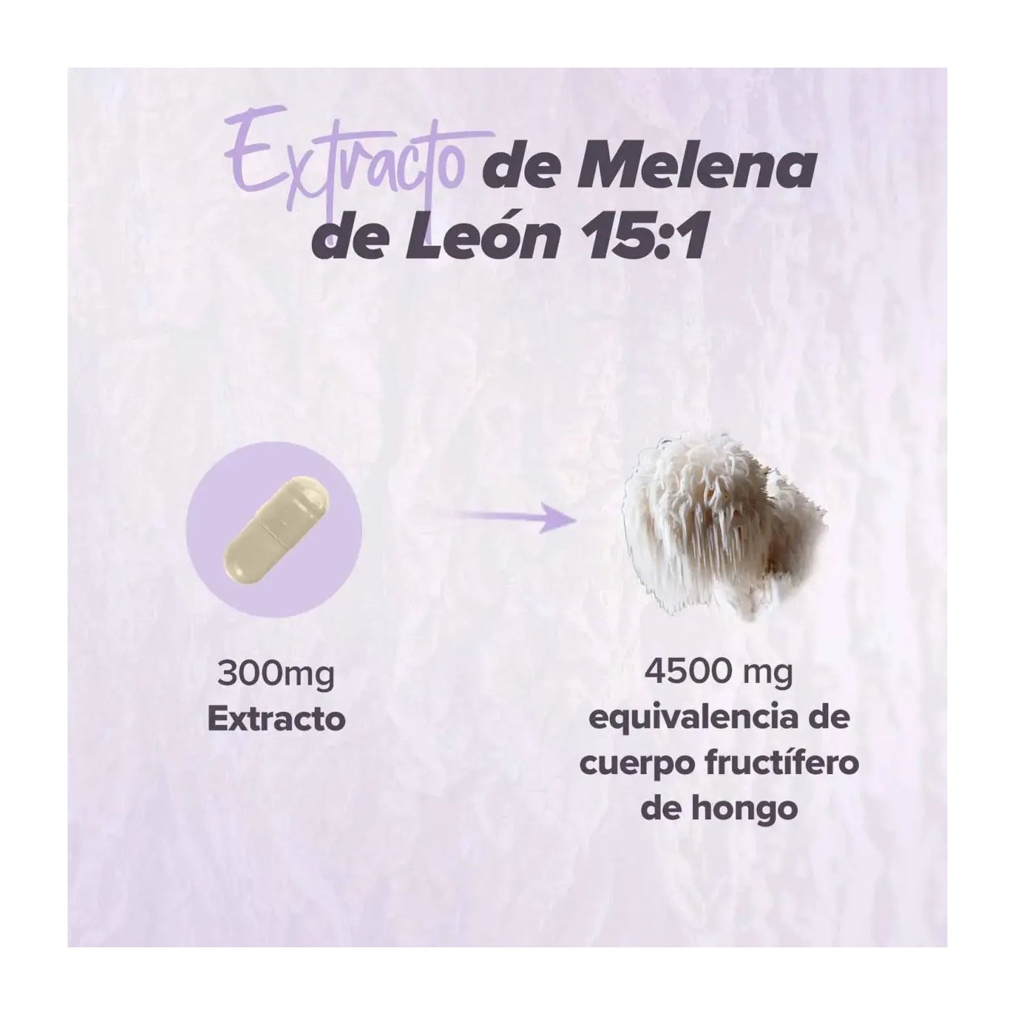 HSN Extracto de Melena de León 15:1 300mg 120vcaps