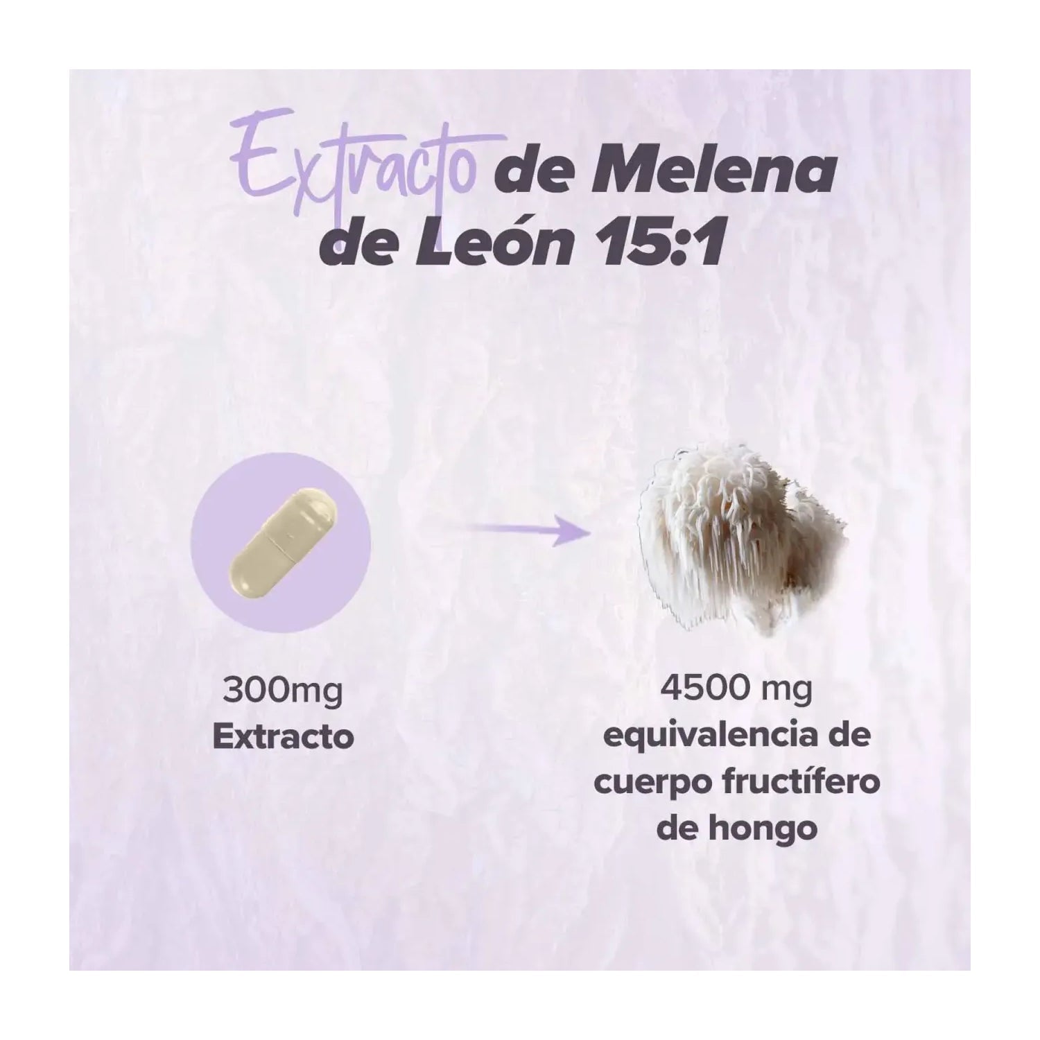 HSN Extracto de Melena de León 15:1 300mg 120vcaps