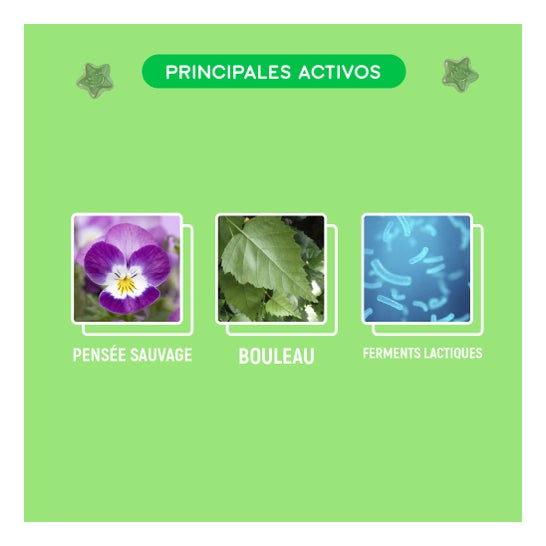 Lashilé Good Detox 60 gummies