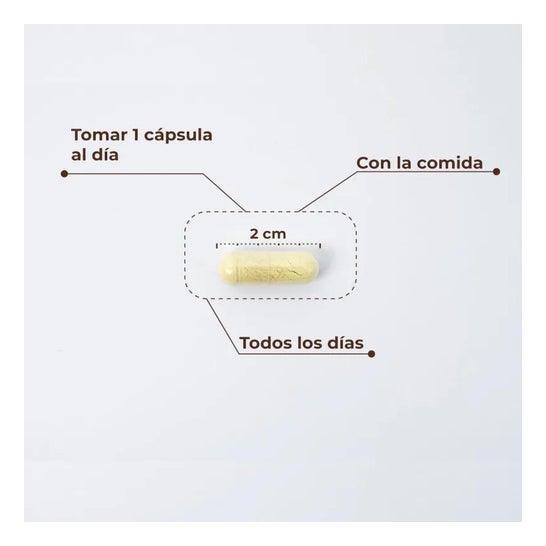 Kobho Trans Resveratrol+ Quercetin 60caps