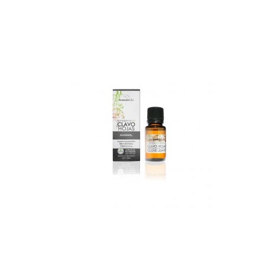 Terpenic Aceite Esencial Clavos Hojas 10 ml
