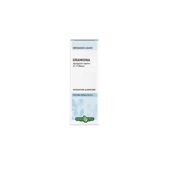 Césped Césped Rizoma de Césped Sol Ial 50 ml