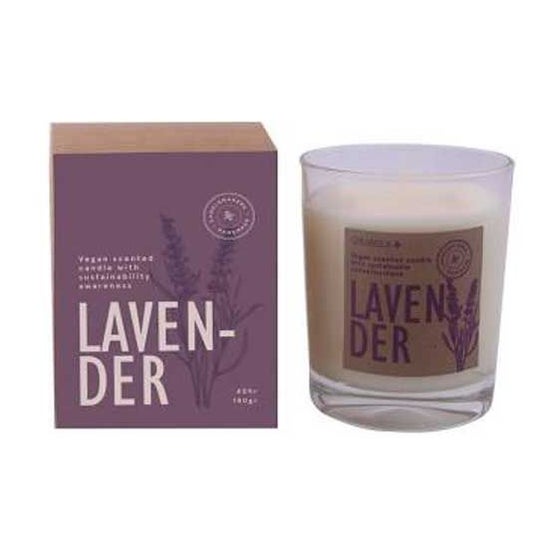 Cerabella Vela Vaso Botvasl Lavanda 7,5 X9 cm 1 ud