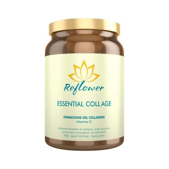 Vita Al Top Reflower Essential Collage Vitamina C 300 g