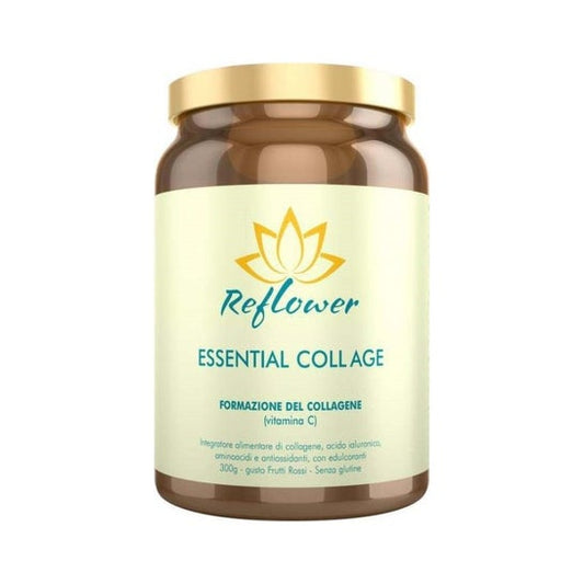 Vita Al Top Reflower Essential Collage Vitamina C 300 g