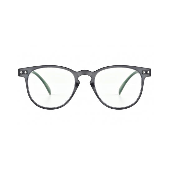 Nordic Vision Gafas de Lectura Mjolby +2.50 1ud