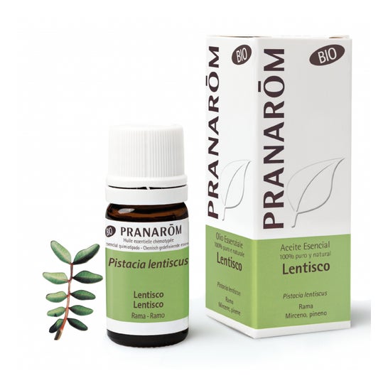 Pranarôm Aceite Esencial de Lentisco BIO 5ml