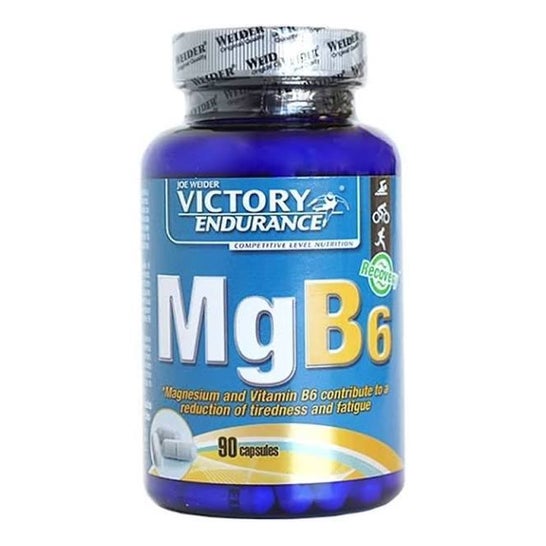 Victory Endurance Mgb6 90caps