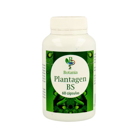 Botania Plantagen Bs Boswellia 60 caps