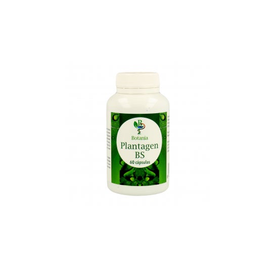 Botania Plantagen Bs Boswellia 60 caps