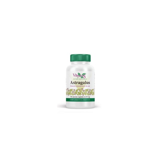 Vbyotics Astragalus Extracto Estandarizado Raíz 120 caps