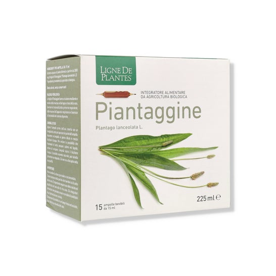 Ligne de Plantes Llantén 15x15 ml