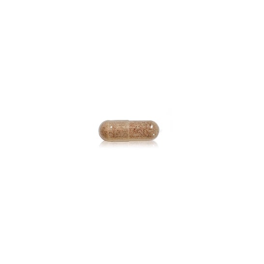 Advanced Nutrition Programme Skin Collagen Support 120caps
