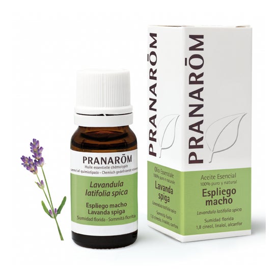 Pranarôm Aceite Esencial de Espliego Macho 10ml