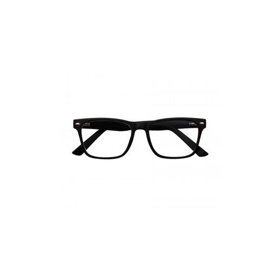 Nordic Vision modelo Gotland PC color marrón dioptrías +2,00 1ud