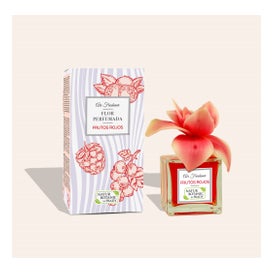 Natur Botanic Ambientador Frutos Rojos Air Freshener 90ml