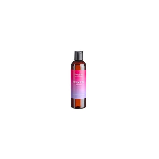 Benecos Natural Basics Volume Shampoo 250 ml