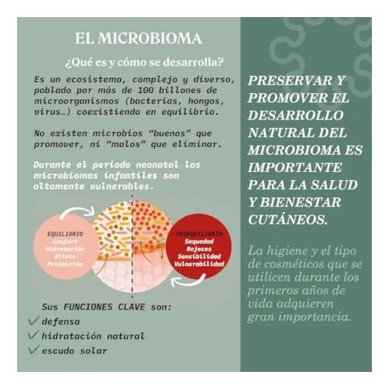 Suavinex Pediátrico Gel-Champú Espumoso 500ml