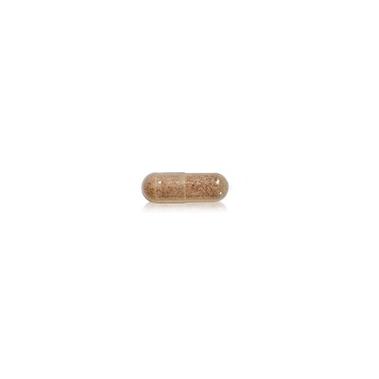 Advanced Nutrition Programme Skin Collagen Synergy 112caps