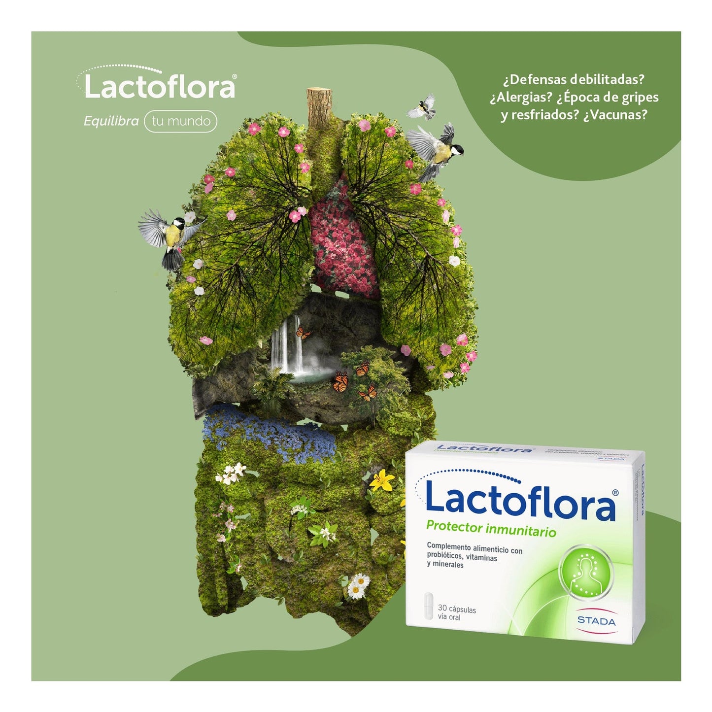 Lactoflora Probiótico Inmunitario 30caps