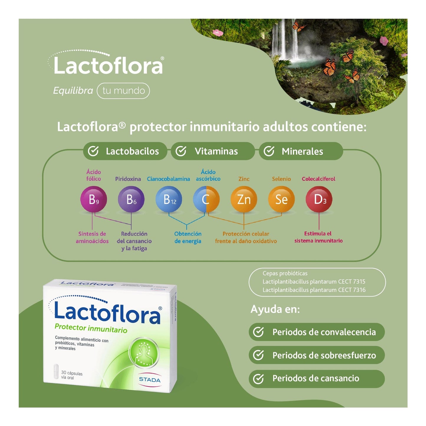 Lactoflora Probiótico Inmunitario 30caps