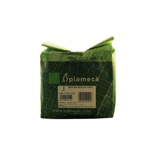 Plameca Boldo Hierba Triturada 1Kg