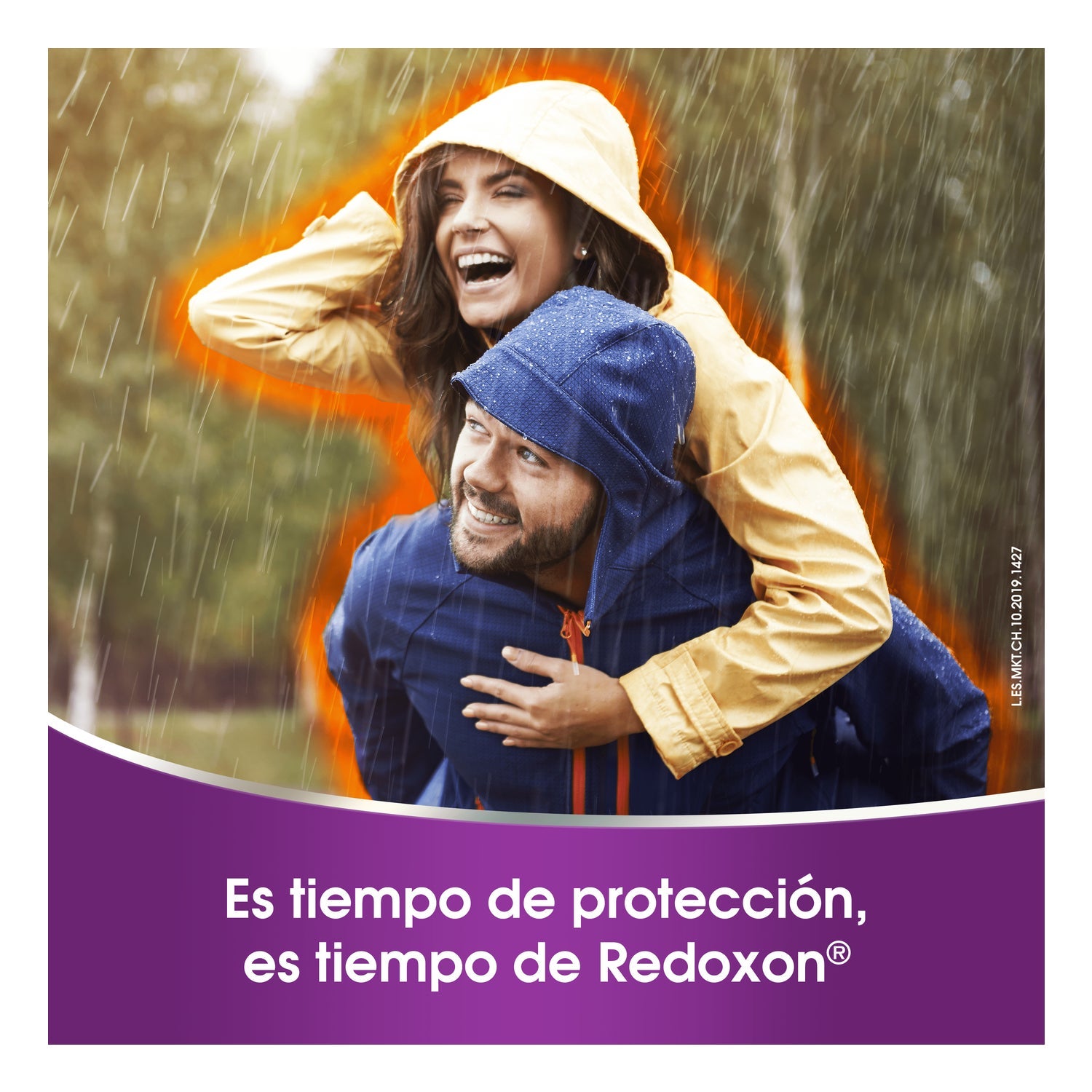 Redoxon Inmuno 4 14sobres