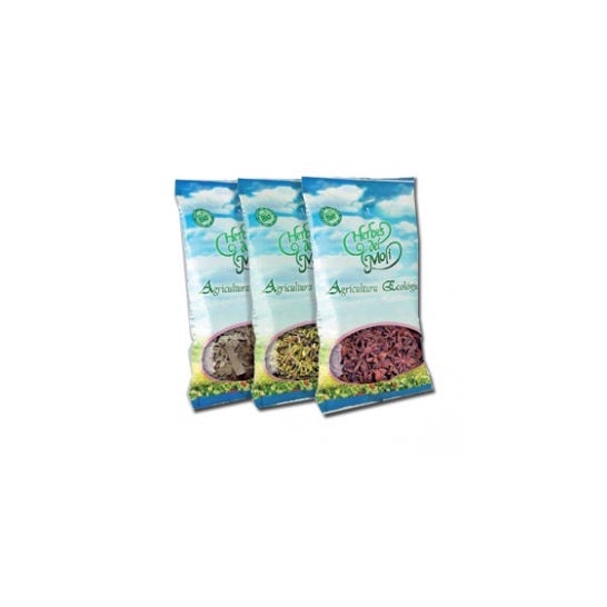 Menta Piperita 25 Gr