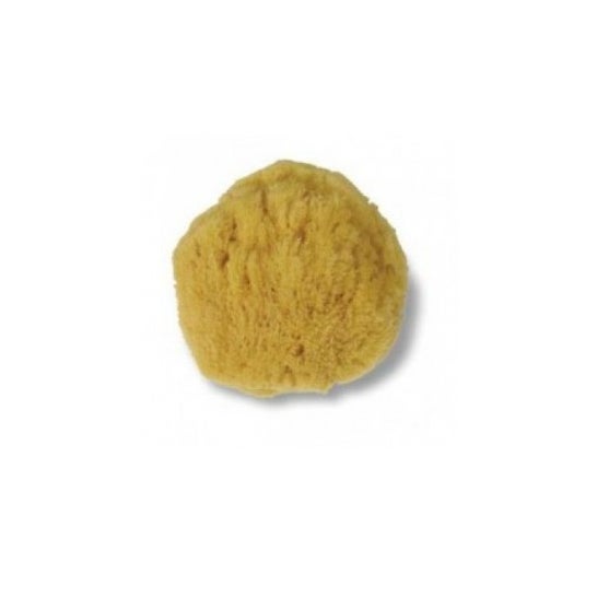 Acofar esponja natural gigante 1ud