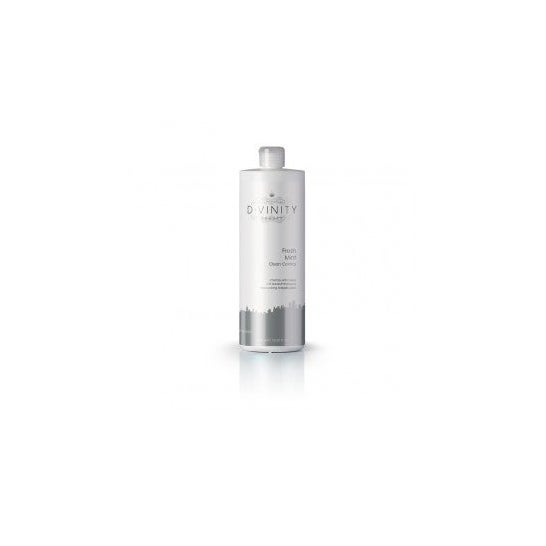 D·Vinity Fresh Mint Clean Control Champú Anticaspa 1L