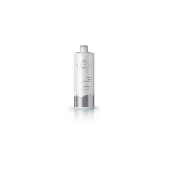 D·Vinity Fresh Mint Clean Control Champú Anticaspa 1L