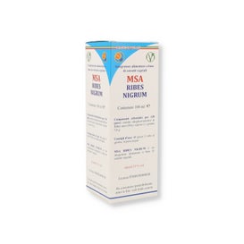 Herboplanet Msa Ribes Nigrum 100ml