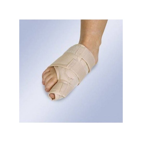 Orliman Hallux Valgus Derecha T-unica