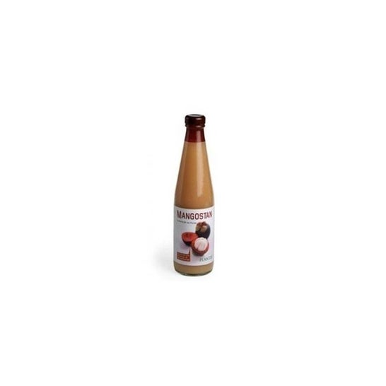 Plantis Mangostan Eco 500ml