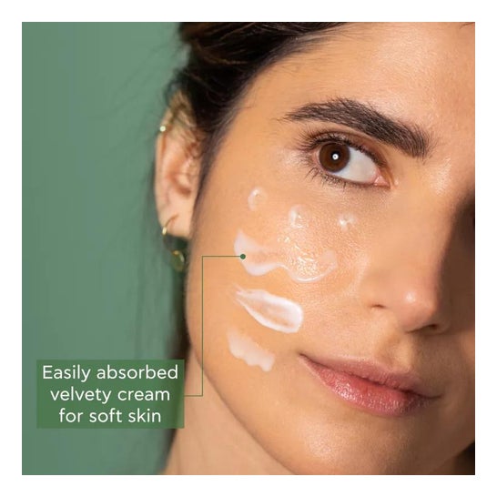 Apivita Bee Radiant Crema Rica 50ml