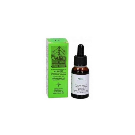 Alkaest mgs9 Castaño de Indias glicerina Macerada 20 ml