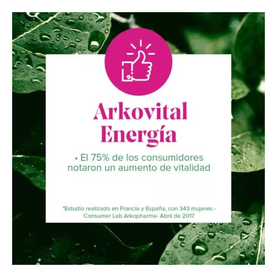 Arkopharma Arkosterol Coenzima Q10 45caps
