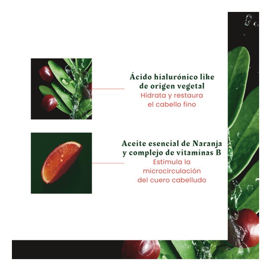 René Furterer Tonucia Natural Filler Champú Repulpante 50ml