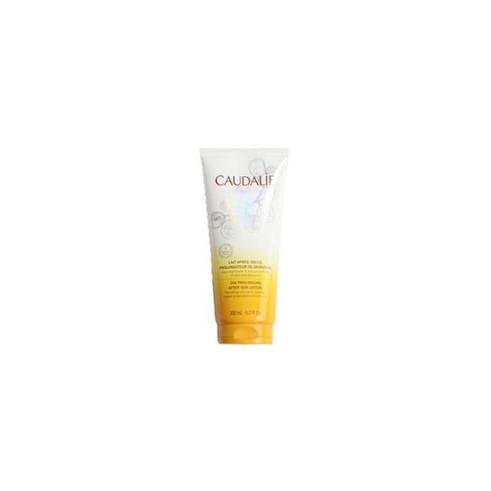 Hc Volume Instant Melon 1ud