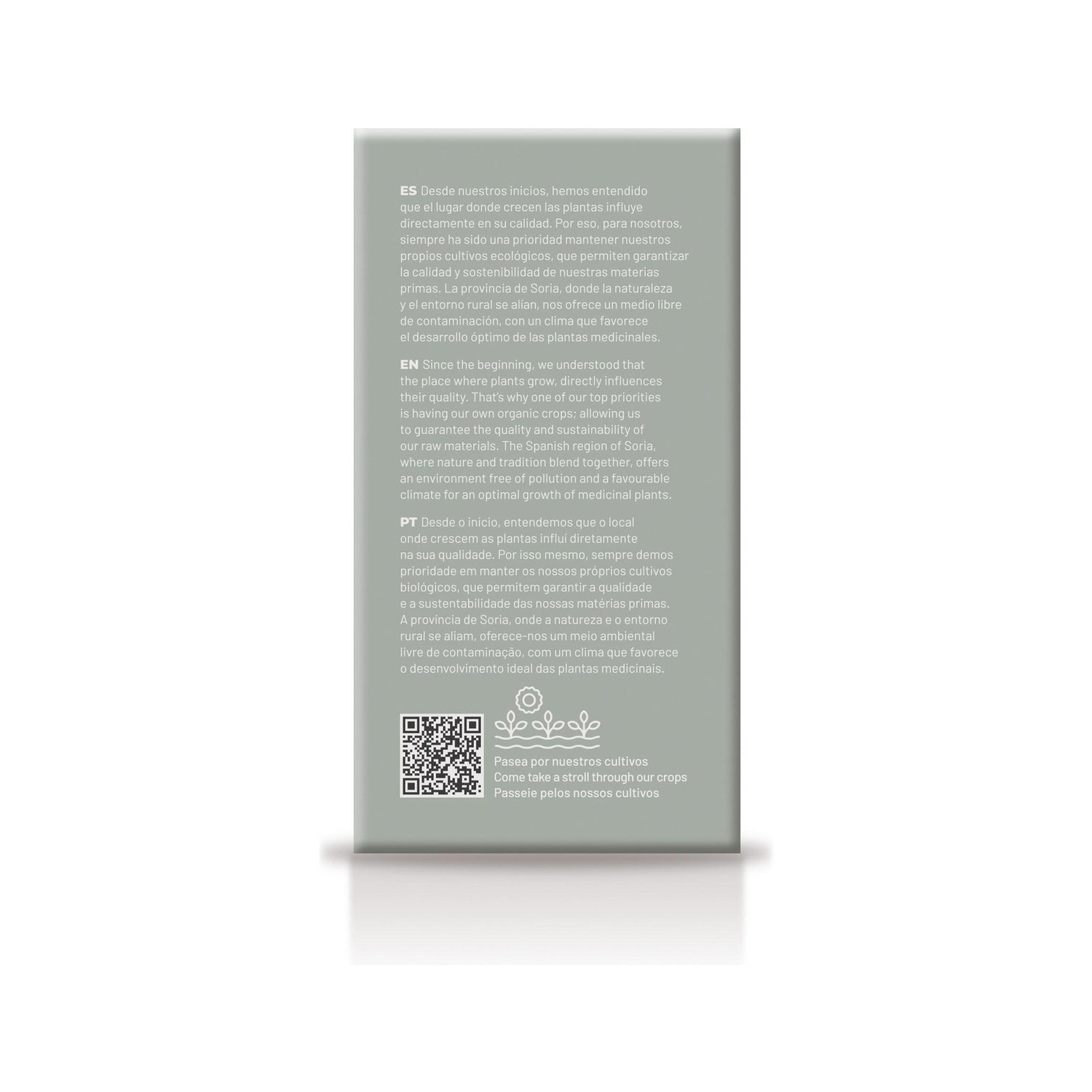 Soria Natural Regamint infusión 20 filtros