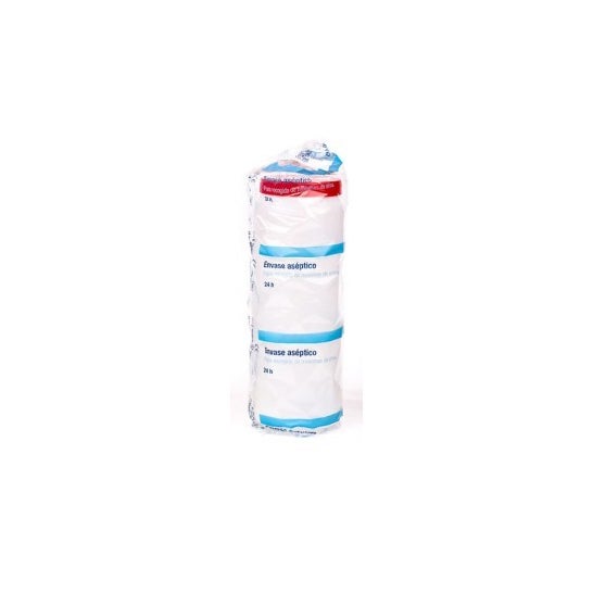 Alvita envase aséptico 24h 2l