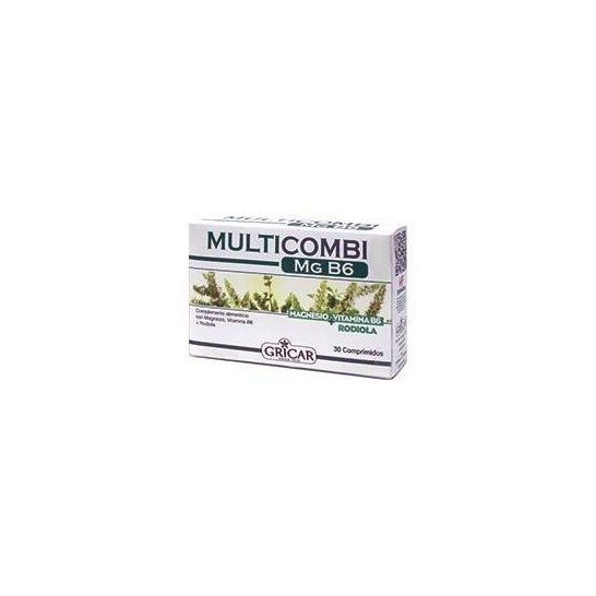 Herbofarm Multicombi Mg B6 30 comp.
