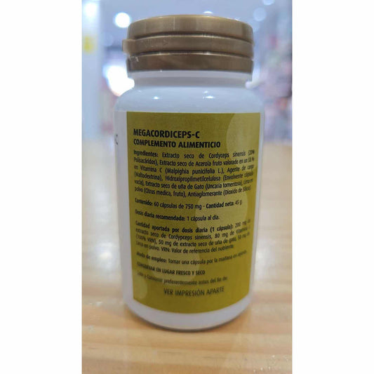 Jellybell Megacordiceps-c 60 Capsulas